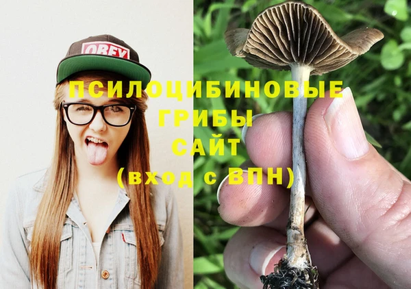 спиды Покров