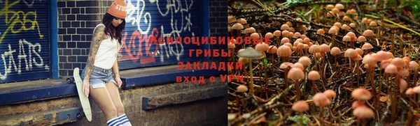 альфа пвп Покачи